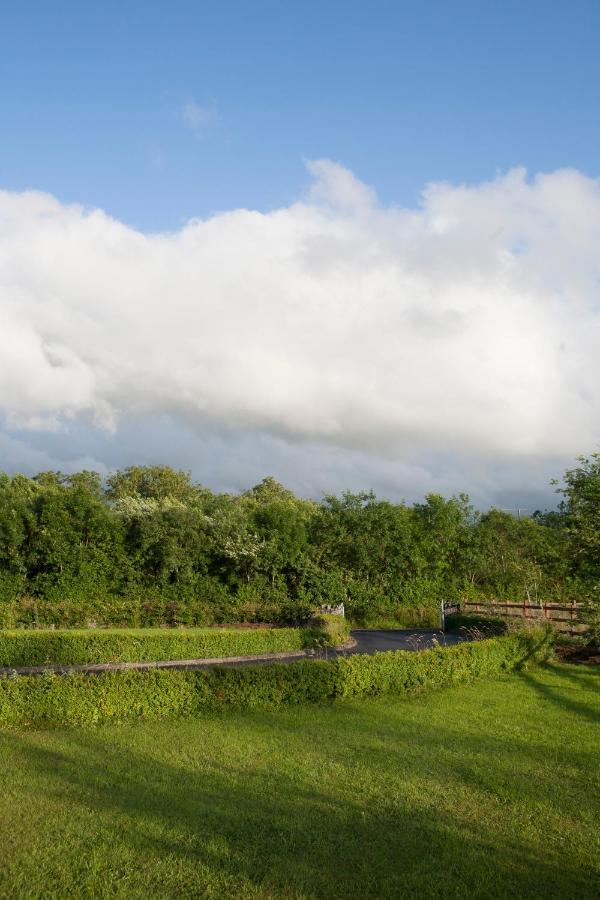 Inviting 4-Bed House In Strokestown Villa Luaran gambar